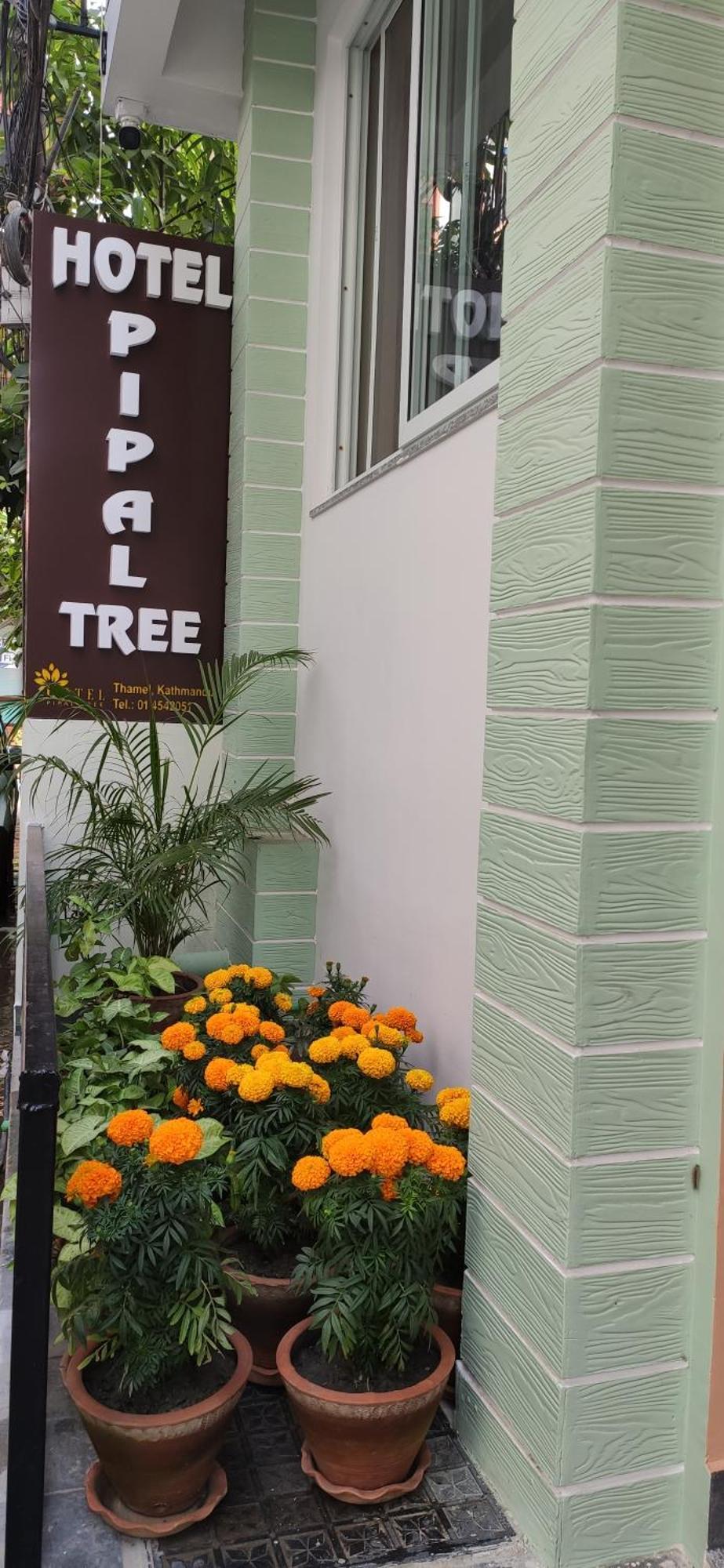 Hotel Pipal Tree 카트만두 외부 사진